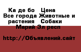 Ка де бо › Цена ­ 25 - Все города Животные и растения » Собаки   . Марий Эл респ.